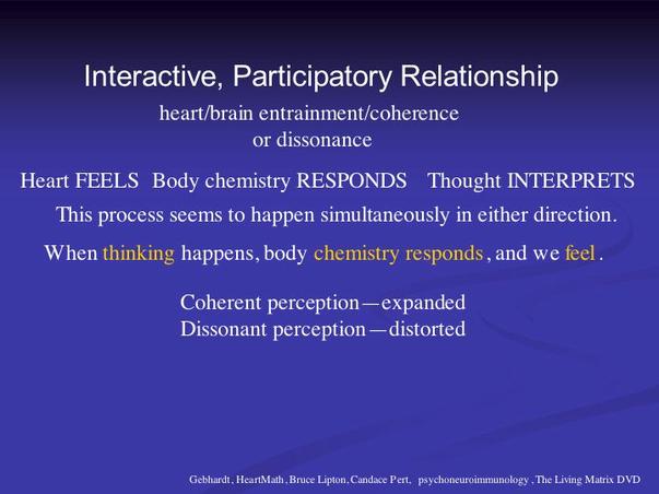 Interactive Participatory Relationship